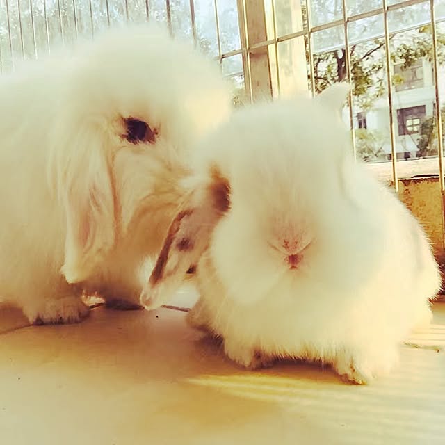 MARIさんの実例写真