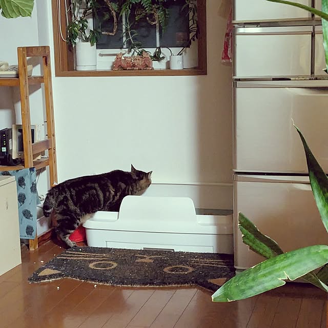 hiroさんの部屋