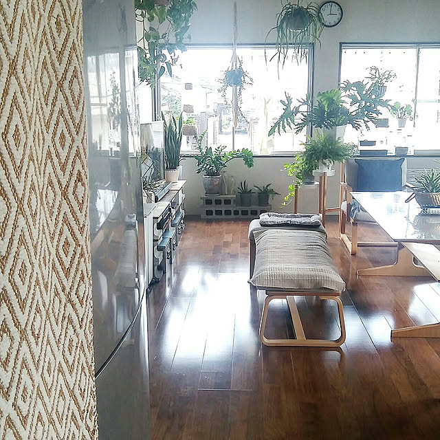 hira_muji_mihiさんの実例写真