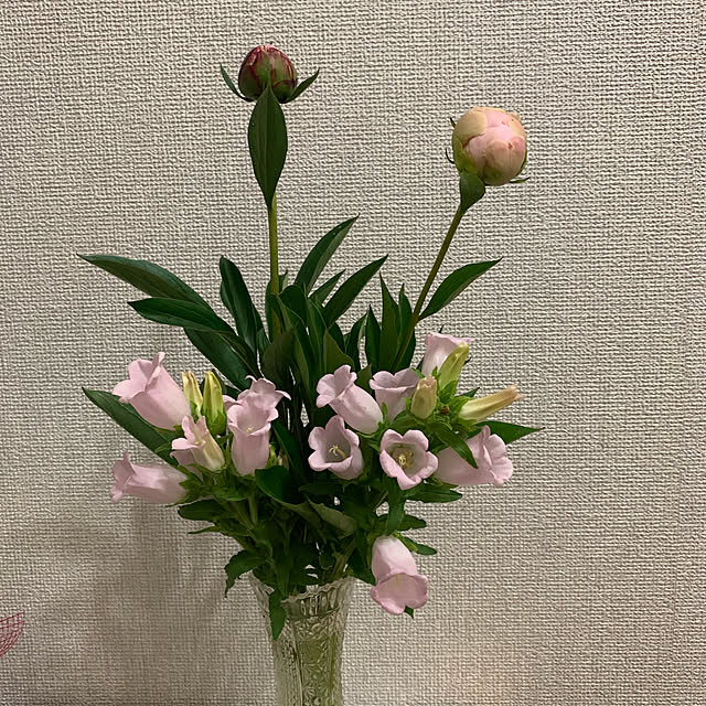 Shinamonさんの実例写真