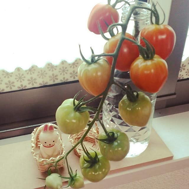 mihoさんの実例写真