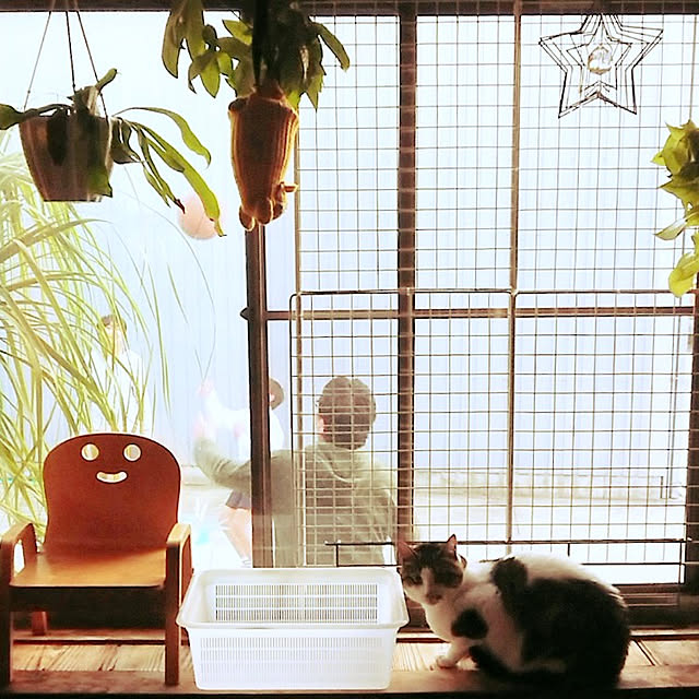 kikuさんの実例写真