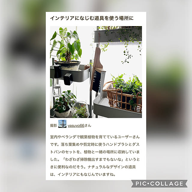 yasuyo66さんの実例写真