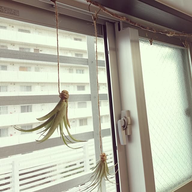 tantanさんの実例写真