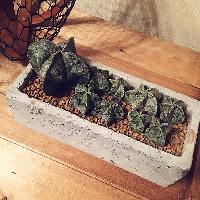 akaneさんの部屋