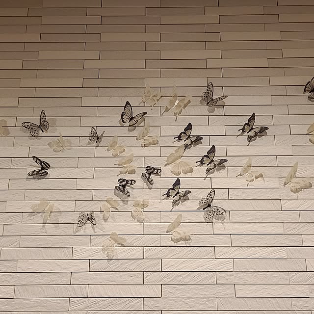 zenoさんの部屋