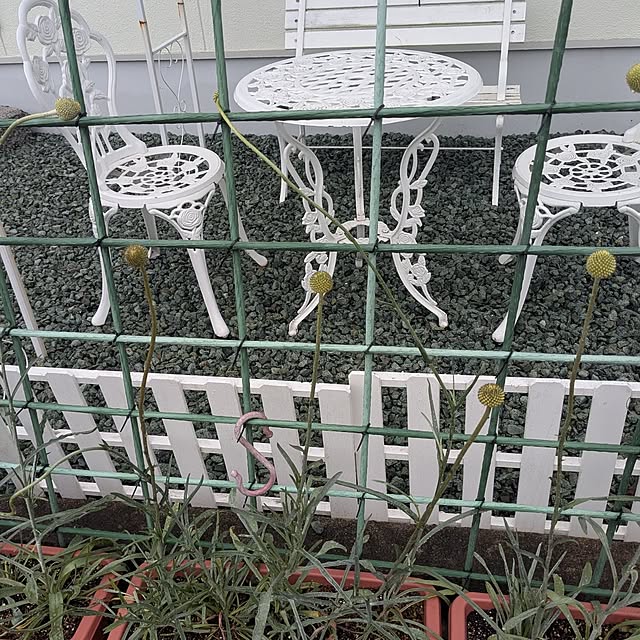 machikomamaさんの部屋