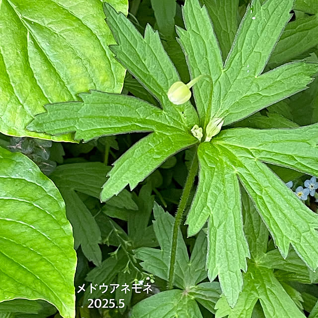 buchiさんの部屋
