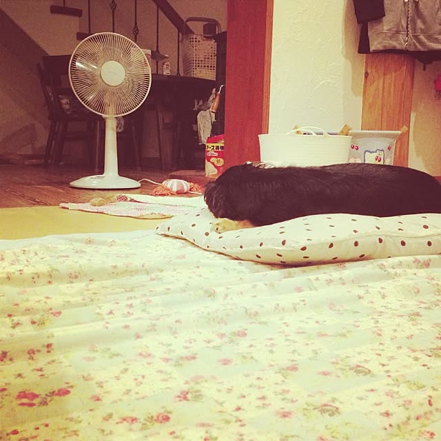 soruhu_1017さんの実例写真