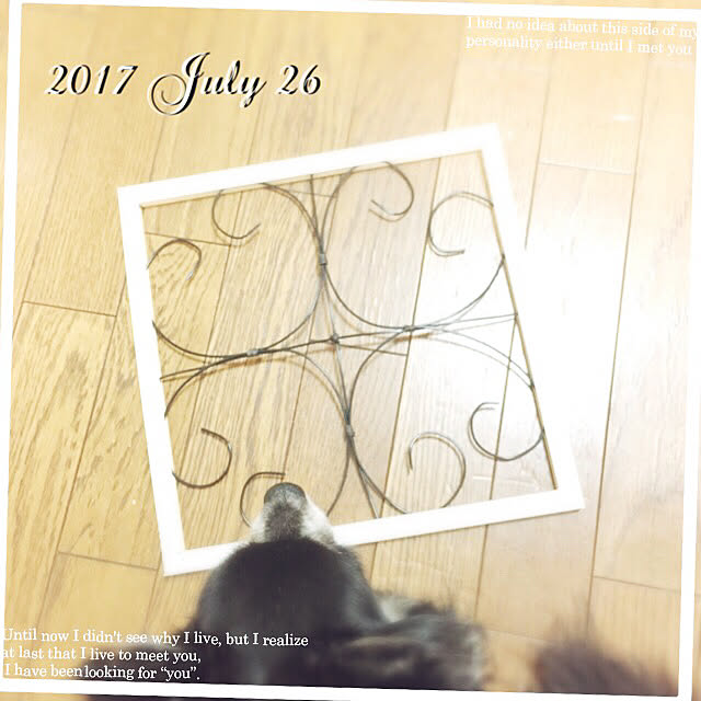 mockさんの実例写真