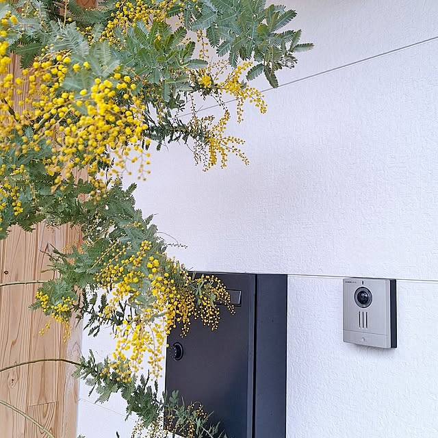 toramonaさんの実例写真