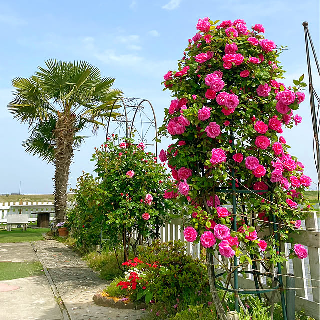HappyRoseさんの実例写真