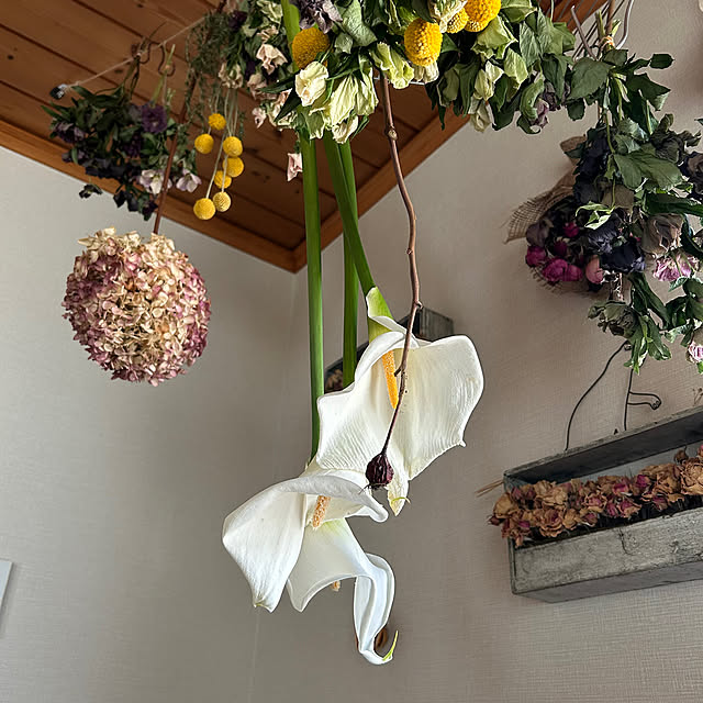 botanさんの実例写真