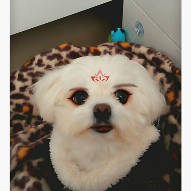 moさんの実例写真