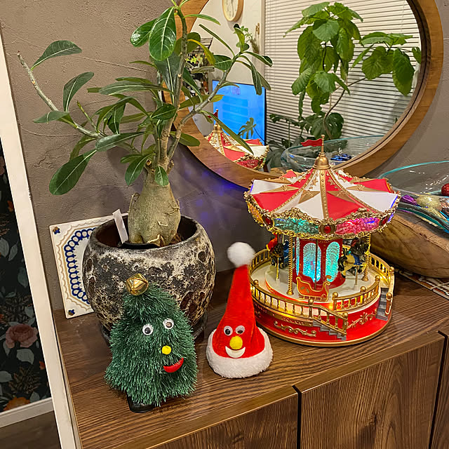 Yume_usagi_13さんの部屋