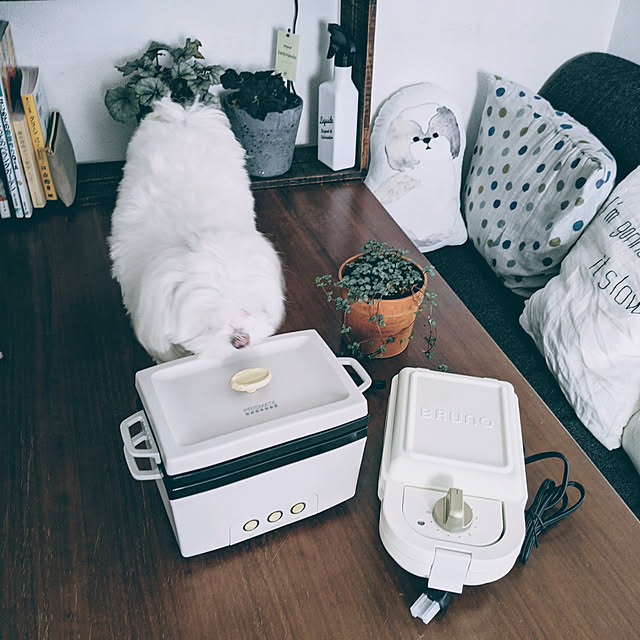 yokkoさんの実例写真