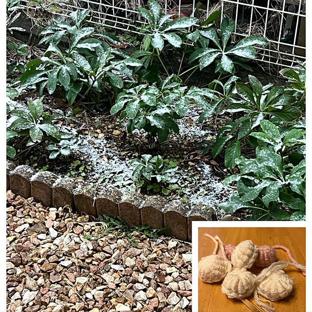 chi_gogaさんの実例写真