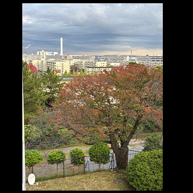 syutmmさんの部屋