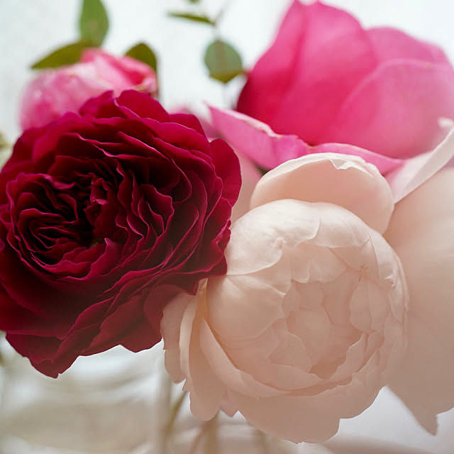 haruisabelさんの部屋