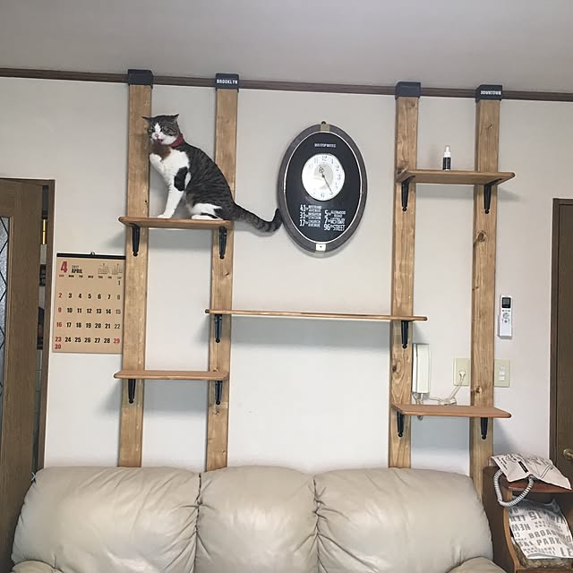 Rumiさんの実例写真