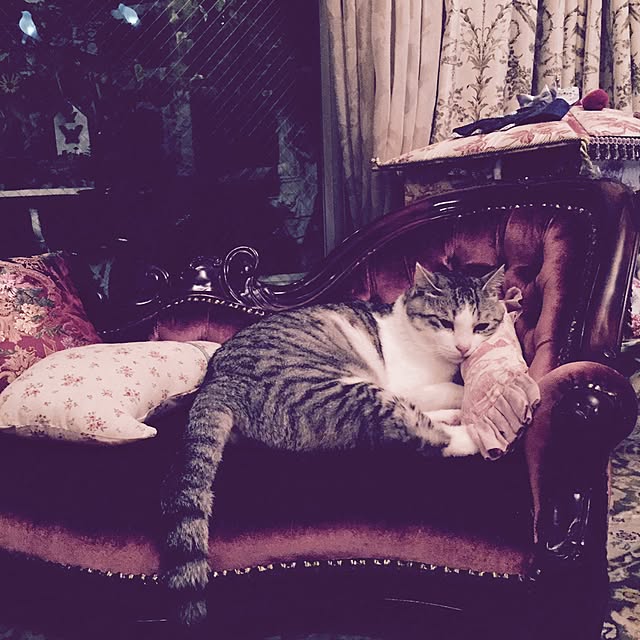 emmyyさんの実例写真