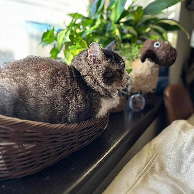 Kyouさんの部屋
