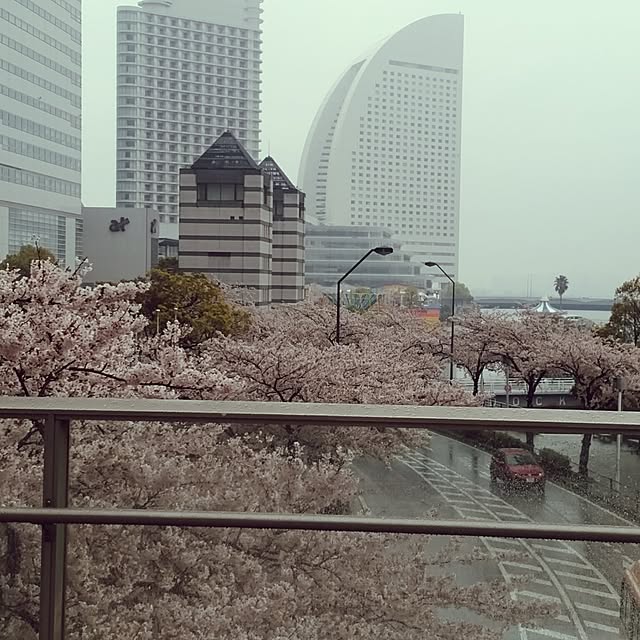 kuruさんの実例写真