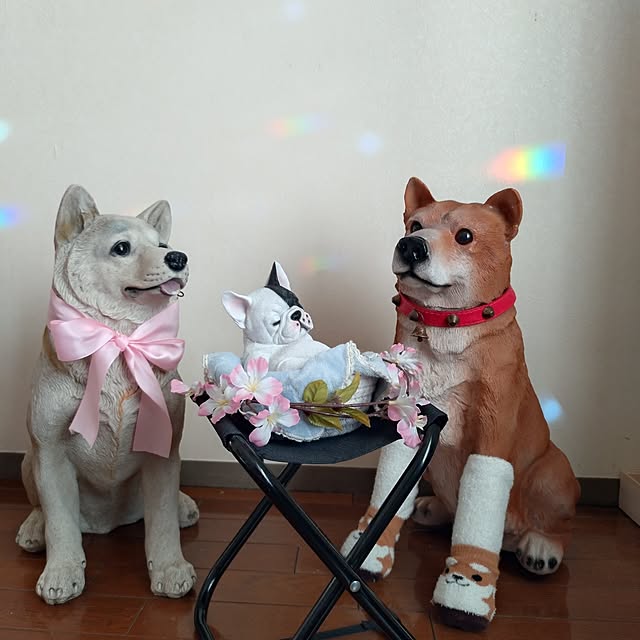 NOAHさんの実例写真