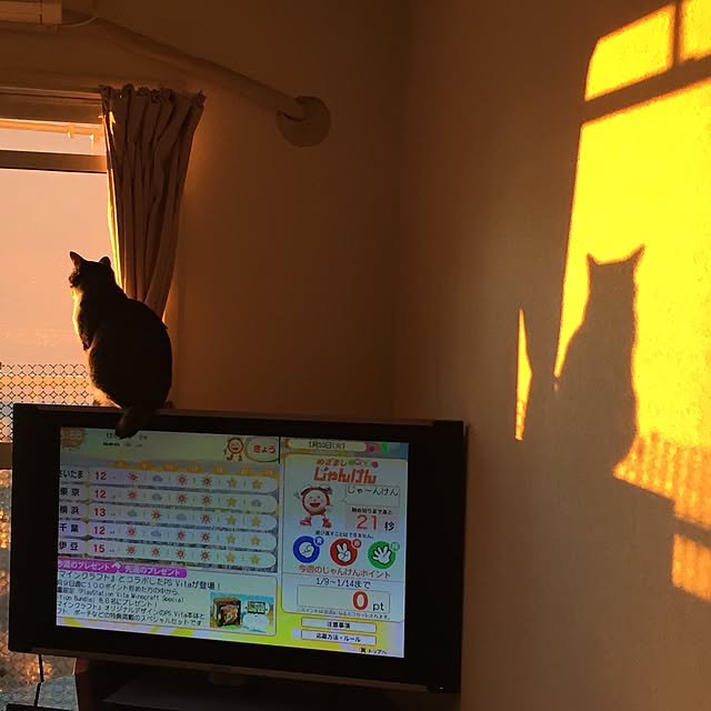 shinoさんの実例写真