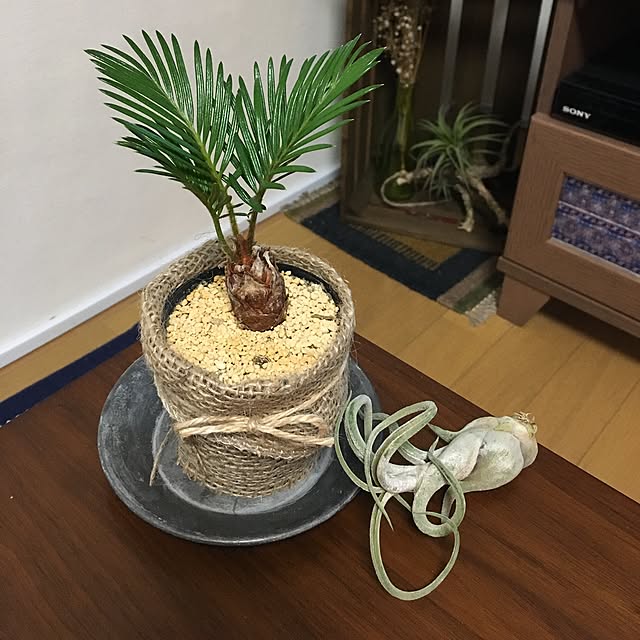cccさんの実例写真