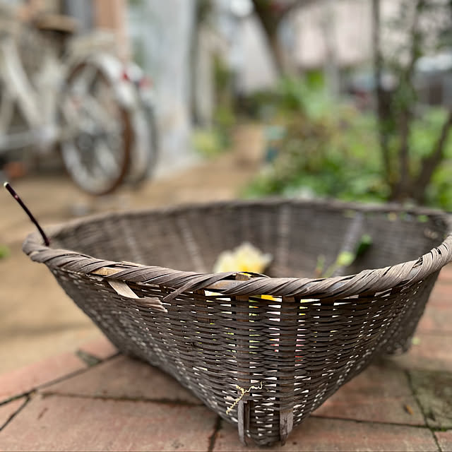 botanさんの実例写真