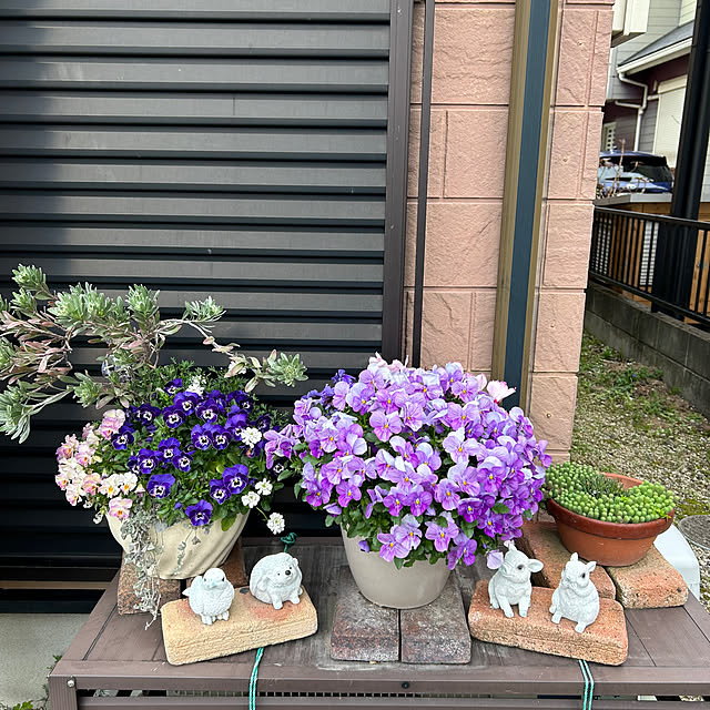 ritsukoさんの部屋