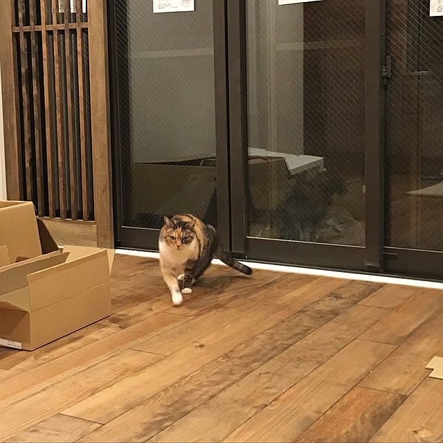 memme7718さんの実例写真