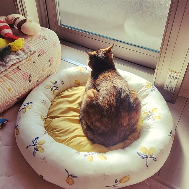 JIHYEさんの部屋