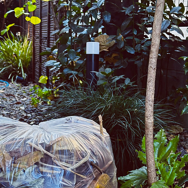 chacoさんの部屋