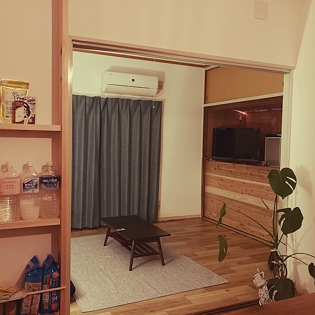 DIY/観葉植物/照明/リビングのインテリア実例 - 2021-05-04 22:04:52