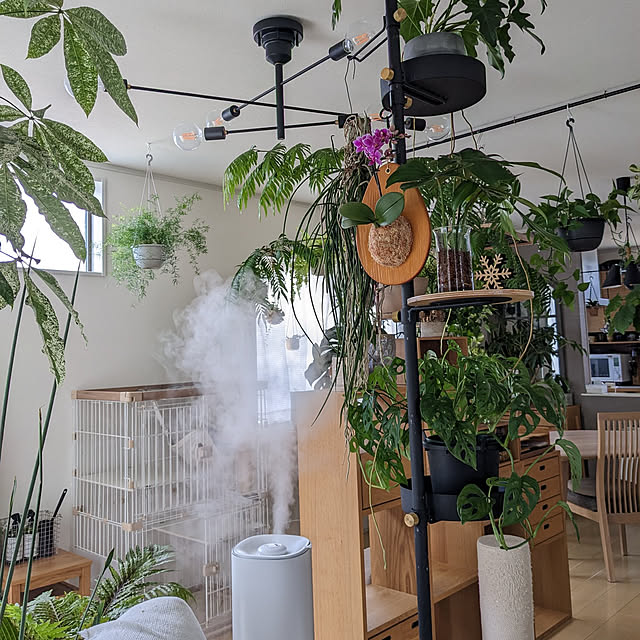 ayamameさんの実例写真