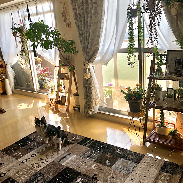 miyakoさんの部屋