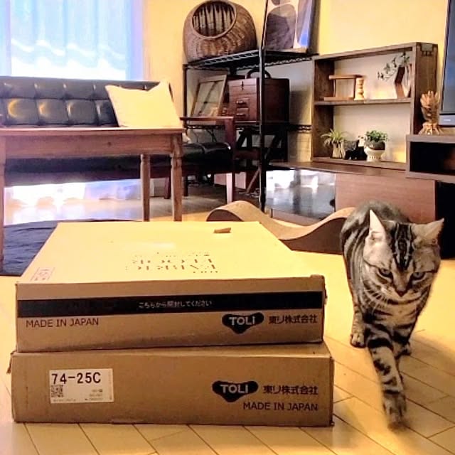 lovepeaceさんの部屋