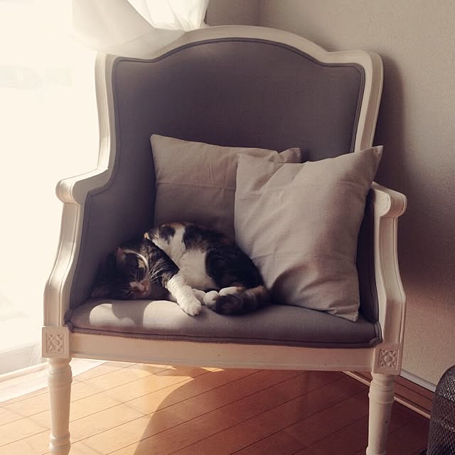 saqura_apartment101さんの実例写真
