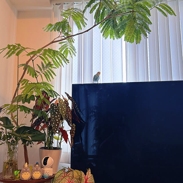 ttさんの部屋