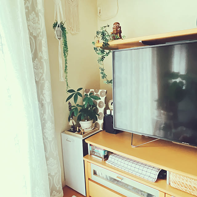 moolさんの実例写真
