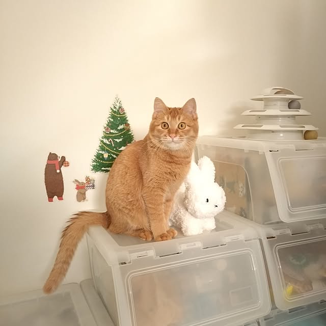 mayutan.さんの部屋