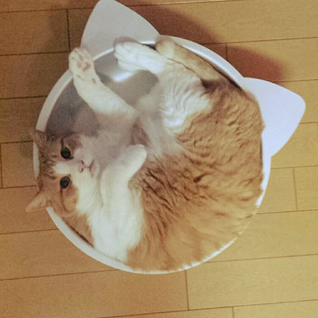 sangoさんの実例写真