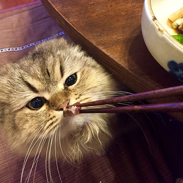butachanさんの実例写真