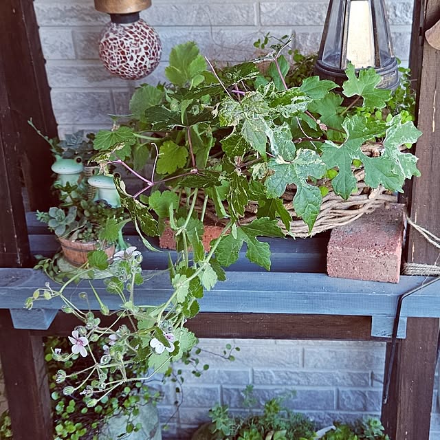 mocomocoさんの部屋