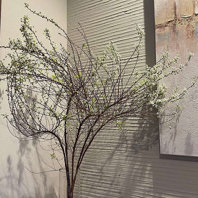 akotannさんの部屋