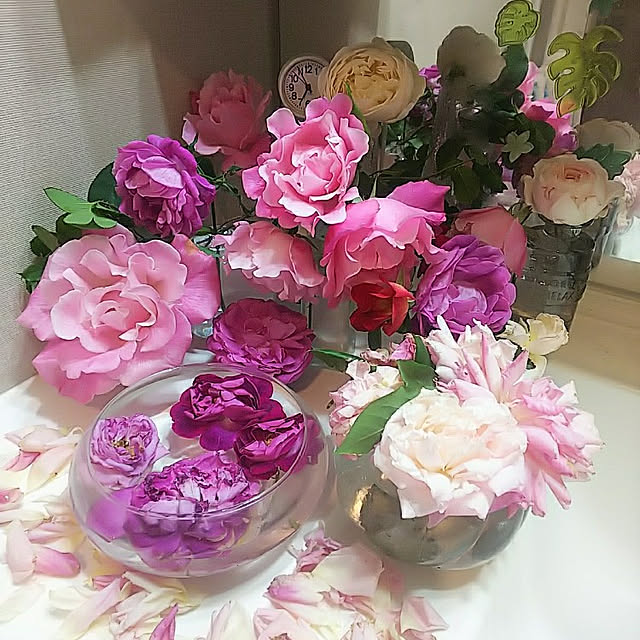 hiromimiさんの実例写真