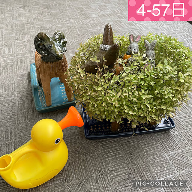aureaさんの実例写真