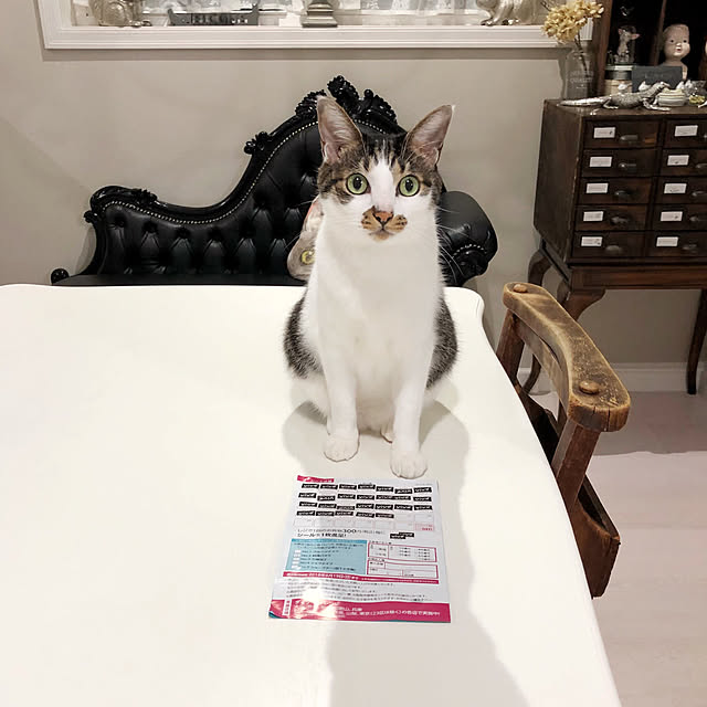 yuchiさんの実例写真